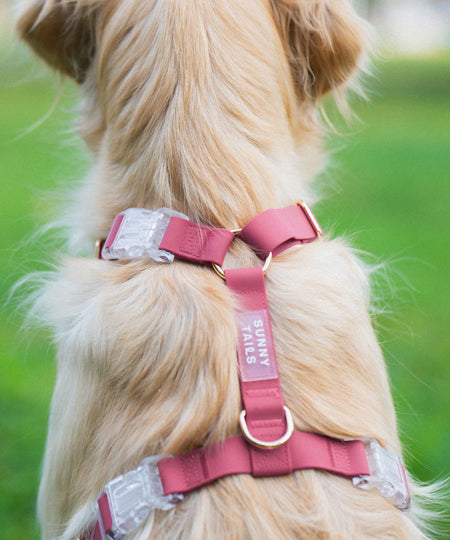 Shop-sunnytails-harnais-waterproof-pour-chien-Mulberry
