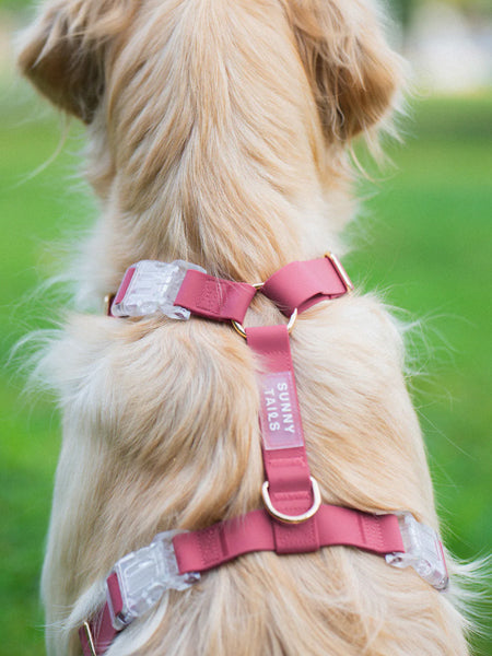 Shop-sunnytails-harnais-waterproof-pour-chien-Mulberry