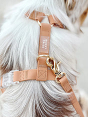 Shop-sunnytails-harnais-waterproof-pour-chien-chai