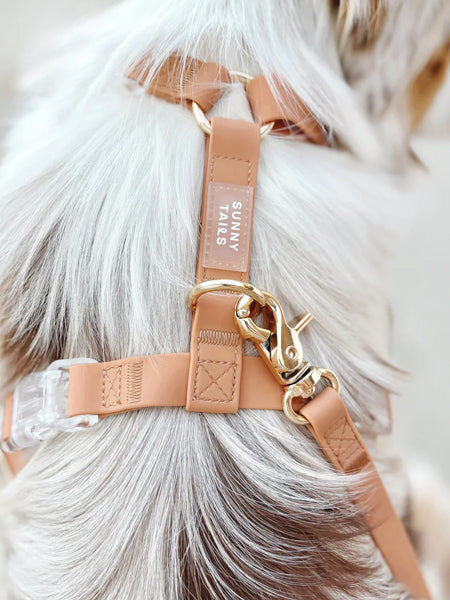 Shop-sunnytails-harnais-waterproof-pour-chien-chai