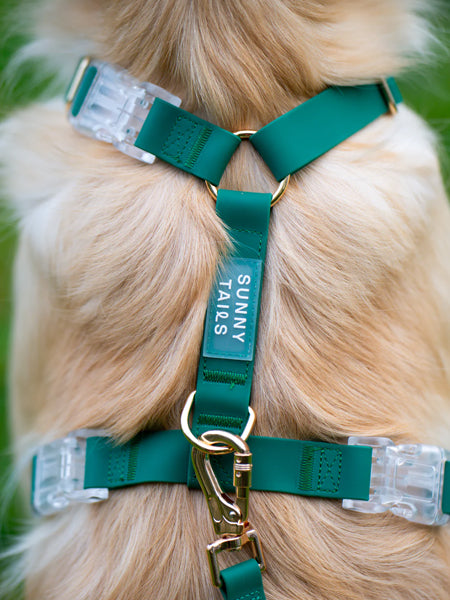 Shop-sunnytails-harnais-waterproof-pour-chien-vert-foret
