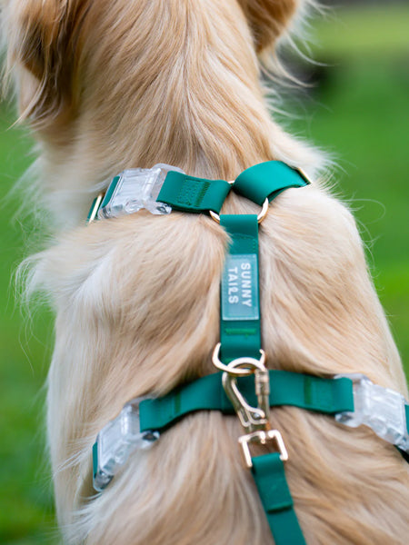 Shop-sunnytails-harnais-waterproof-pour-chien-vert-foret