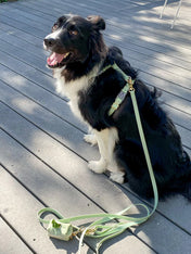 Shop-sunnytails-harnais-waterproof-pour-chien-vert-pastel