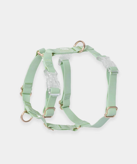 Shop-sunnytails-harnais-waterproof-pour-chien-vert-pastel
