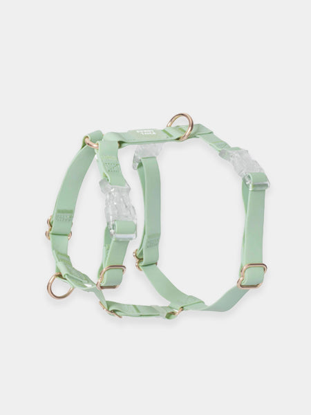 Shop-sunnytails-harnais-waterproof-pour-chien-vert-pastel