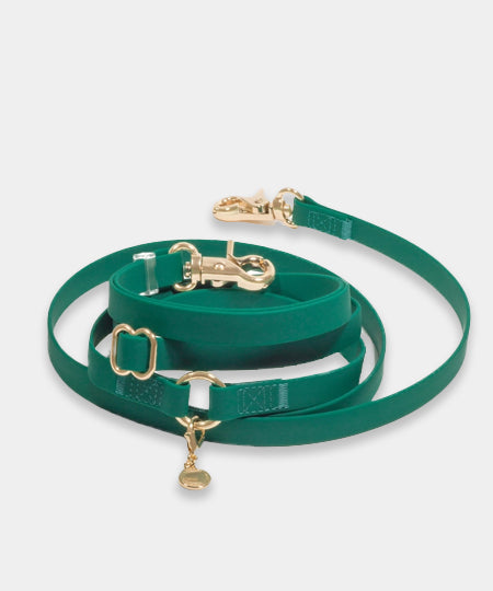 Shop-sunnytails-laisse-4-position-waterproof-pour-chien-vert