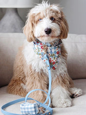 Shop-sunnytails-laisse-waterproof-pour-chien-bleu-ciel