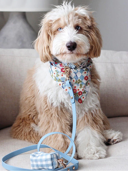 Shop-sunnytails-laisse-waterproof-pour-chien-bleu-ciel