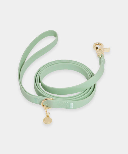 Shop-sunnytails-laisse-waterproof-pour-chien-vert-pastel