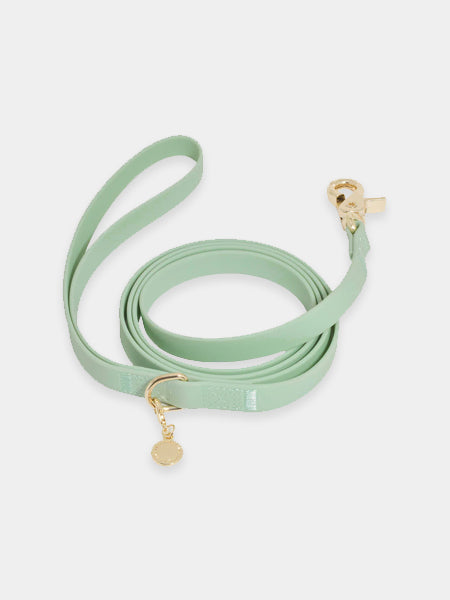 Shop-sunnytails-laisse-waterproof-pour-chien-vert-pastel