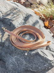 Shop-sunnytails-longe-education-9-metres-waterproof-pour-chien-chai