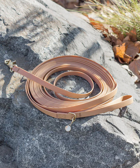 Shop-sunnytails-longe-education-9-metres-waterproof-pour-chien-chai