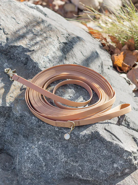 Shop-sunnytails-longe-education-9-metres-waterproof-pour-chien-chai