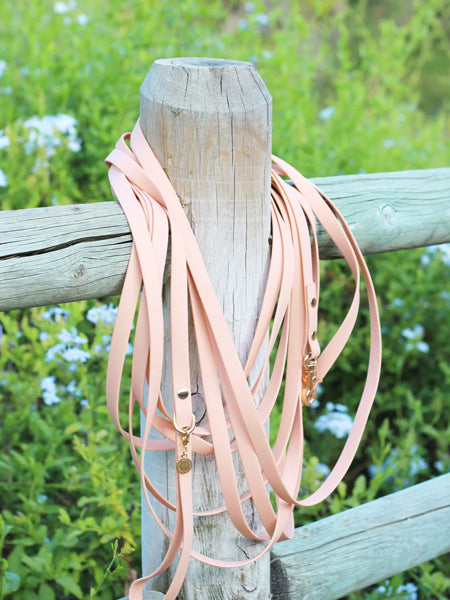 Shop-sunnytails-longe-education-9-metres-waterproof-pour-chien-peach-
