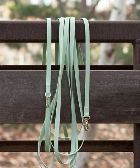 Shop-sunnytails-longe-education-9-metres-waterproof-pour-chien-vert