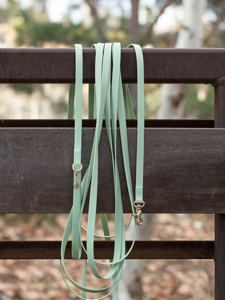 Shop-sunnytails-longe-education-9-metres-waterproof-pour-chien-vert