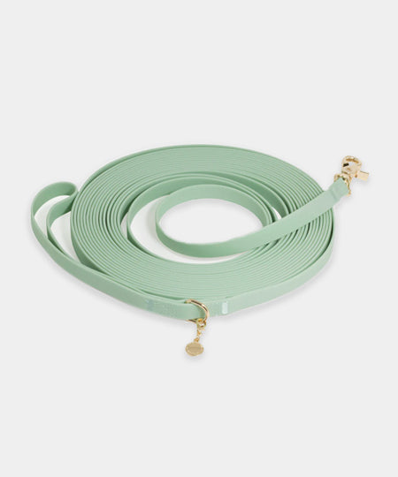 Shop-sunnytails-longe-education-9-metres-waterproof-pour-chien-vert