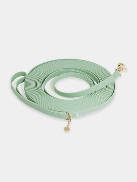 Shop-sunnytails-longe-education-9-metres-waterproof-pour-chien-vert
