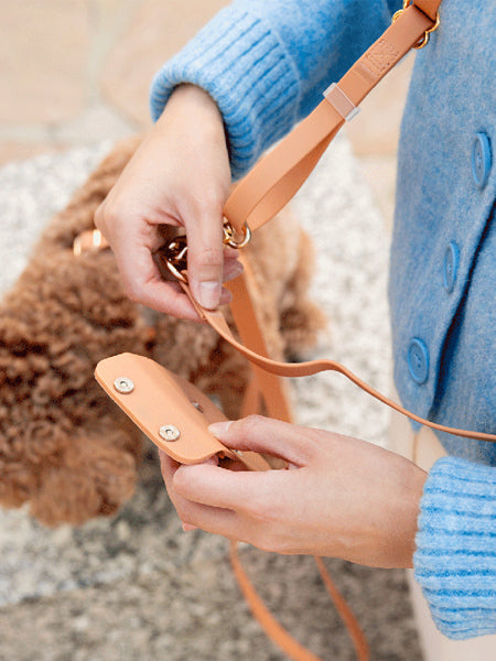 Shop-sunnytails-pochette-friandises-pour-chien-chai