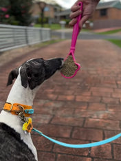 SodaPup-Lick-Stick-Hand-Held-jouetinteractif-pour-chien-chiot-glace-rose