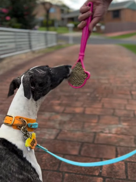 SodaPup-Lick-Stick-Hand-Held-jouetinteractif-pour-chien-chiot-glace-rose