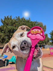 SodaPup-Lick-Stick-Hand-Held-jouetinteractif-pour-chien-chiot-glace-rose