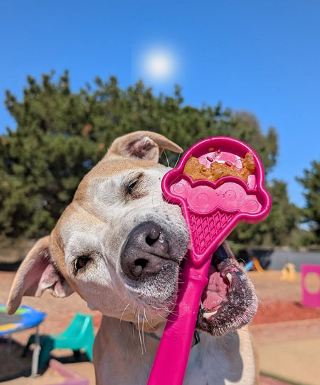 SodaPup-Lick-Stick-Hand-Held-jouetinteractif-pour-chien-chiot-glace-rose