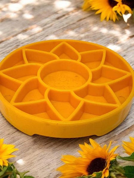 SodaPup-gamelle-interactif-pour-chien-chiot-sunflower-tournesol