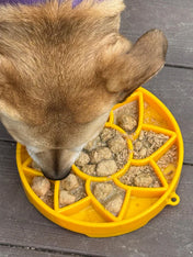 SodaPup-gamelle-interactif-pour-chien-chiot-sunflower-tournesol