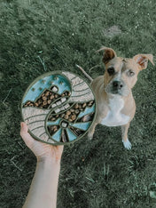 SodaPup-gamelle-interactif-pour-chien-chiot-yin-yang-vert