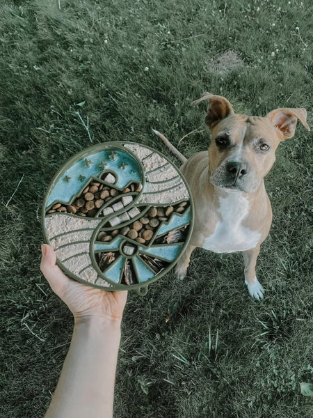SodaPup-gamelle-interactif-pour-chien-chiot-yin-yang-vert