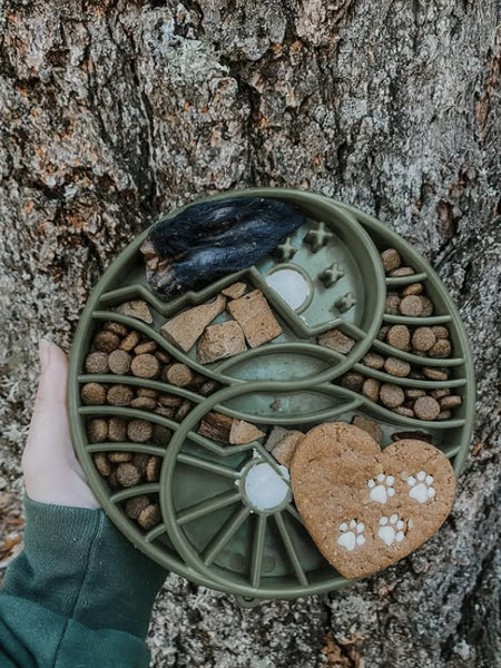 SodaPup-gamelle-interactif-pour-chien-chiot-yin-yang-vert