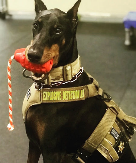 SodaPup-jouet-corde-tug-pour-chien-chiot-GRENADE-noir