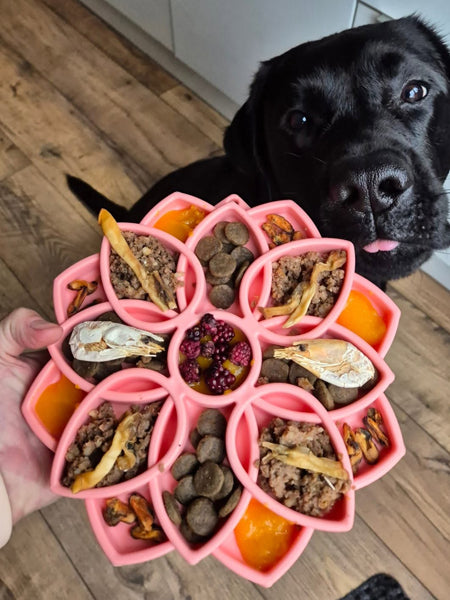 SodaPup-jouet-enrichissement-etray-pour-chien-chiot-mandala-silicone-rose