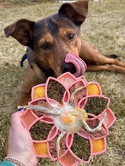 SodaPup-jouet-enrichissement-etray-pour-chien-chiot-mandala-silicone-rose