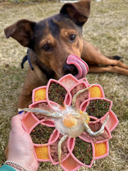 SodaPup-jouet-enrichissement-etray-pour-chien-chiot-mandala-silicone-rose