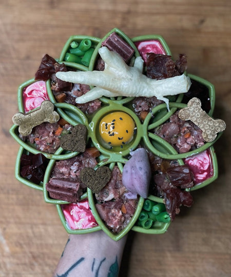 SodaPup-jouet-enrichissement-etray-pour-chien-chiot-mandala-silicone-vert