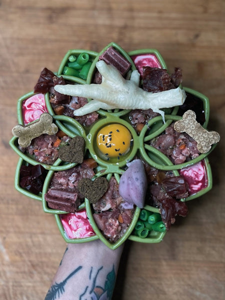 SodaPup-jouet-enrichissement-etray-pour-chien-chiot-mandala-silicone-vert