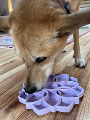 SodaPup-jouet-enrichissement-etray-pour-chien-chiot-mandala-silicone-violet