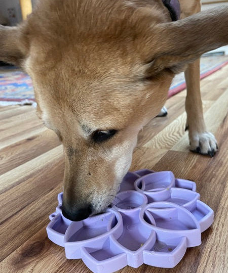 SodaPup-jouet-enrichissement-etray-pour-chien-chiot-mandala-silicone-violet