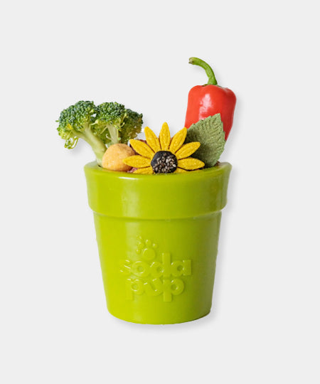 SodaPup-jouet-interactif-pour-chien-chiot-pot-fleur-vert