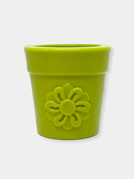 SodaPup-jouet-interactif-pour-chien-chiot-pot-fleur-orange      SodaPup-jouet-interactif-pour-chien-chiot-pot-fleur-vert