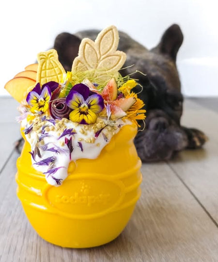 SodaPup-jouet-interactif-pour-chien-chiot-honey-pot