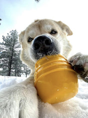 Jouet occupation pour chien - Pot de Miel (2 tailles) - SodaPup - inooko