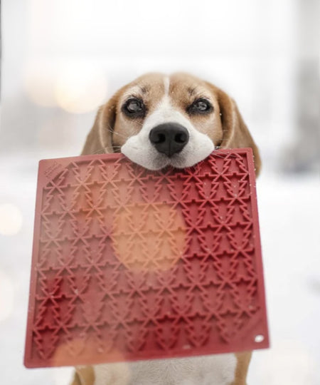 SodaPup-tapis-lechage-emat-pour-chien-chiot-sapin-rouge