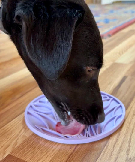 SodaPup-tapis-lechage-emat-pour-chien-chiot-tulipe