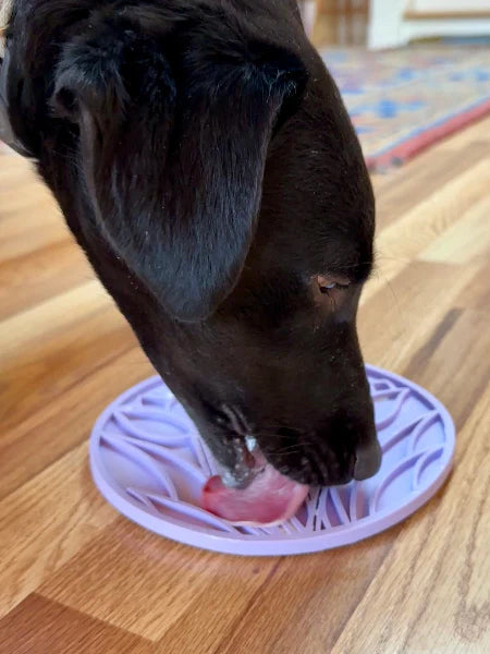 SodaPup-tapis-lechage-emat-pour-chien-chiot-tulipe