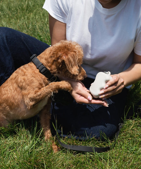Springer-pochette-friandises-pour-chien-avoine
