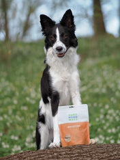 Sund-Hundmat-friandise-lyophilisee-freeze-dried-raw-canard