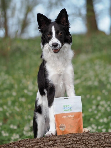 Sund-Hundmat-friandise-lyophilisee-freeze-dried-raw-canard